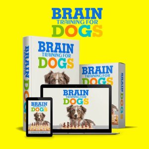 Brain Training for Dogs